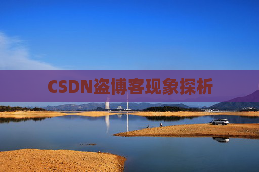 CSDN盗博客现象探析